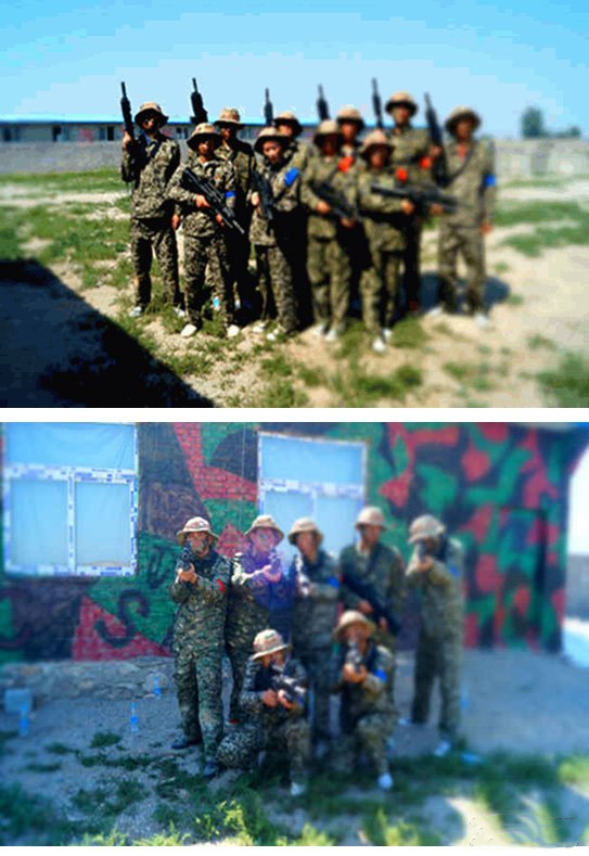 銀川伊百盛生物工程有限公司 銀川伊百盛生物工程有限公司