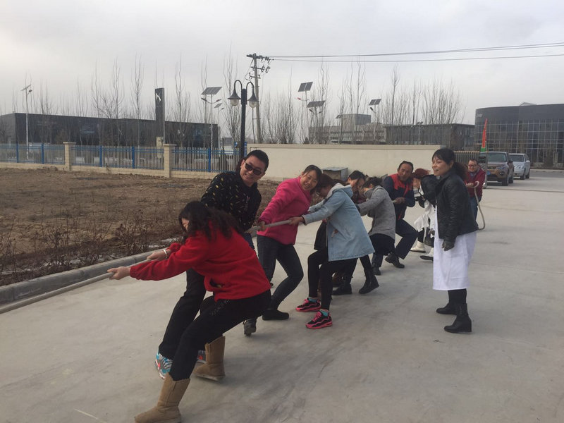 銀川伊百盛生物工程有限公司 銀川伊百盛生物工程有限公司