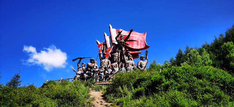 銀川伊百盛生物工程有限公司 銀川伊百盛生物工程有限公司