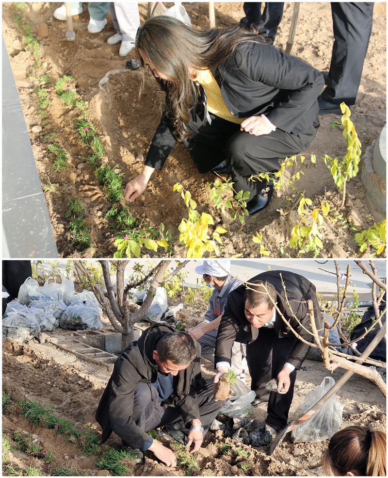 銀川伊百盛生物工程有限公司 銀川伊百盛生物工程有限公司