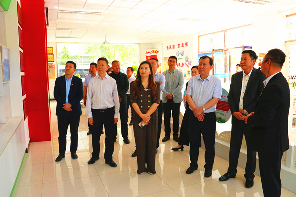 銀川伊百盛生物工程有限公司 銀川伊百盛生物工程有限公司