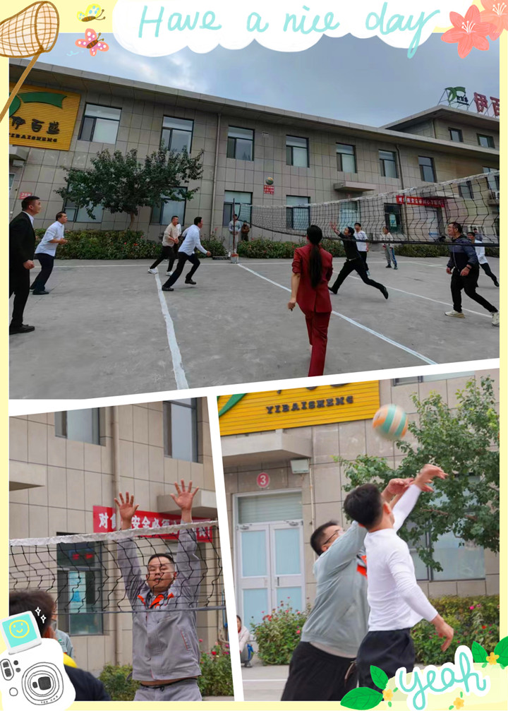 銀川伊百盛生物工程有限公司 銀川伊百盛生物工程有限公司