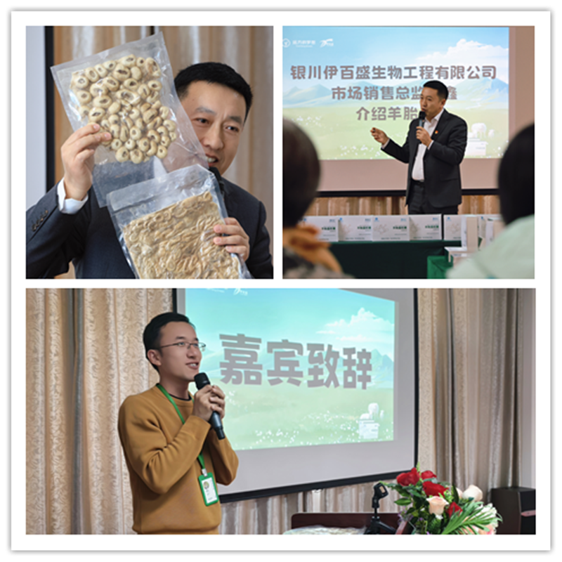 銀川伊百盛生物工程有限公司 銀川伊百盛生物工程有限公司