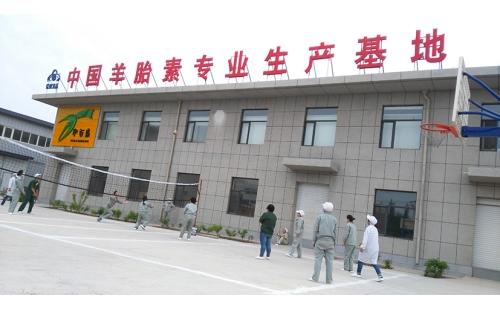 團(tuán)結(jié)合作，快樂迎五一