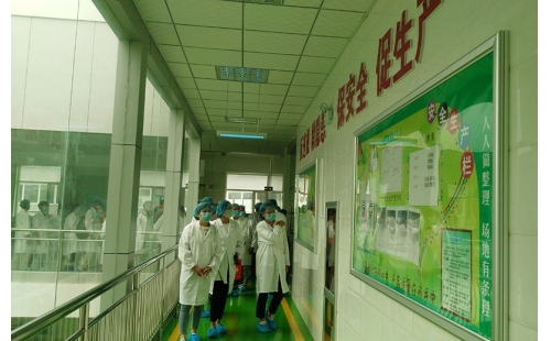 值公司成立十周年慶典，公司贊助萬名老人免費游寧夏系列活動