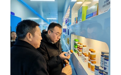 金鳳區(qū)常委、組織部長杜鈞，副區(qū)長、公安局長王占東一行蒞臨企業(yè)參觀調(diào)研