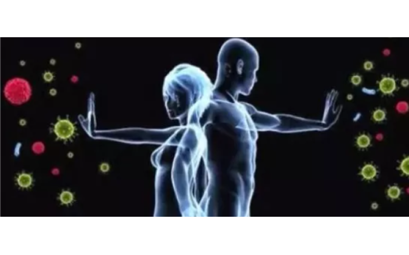 為什么補的是肽而不是氨基酸？