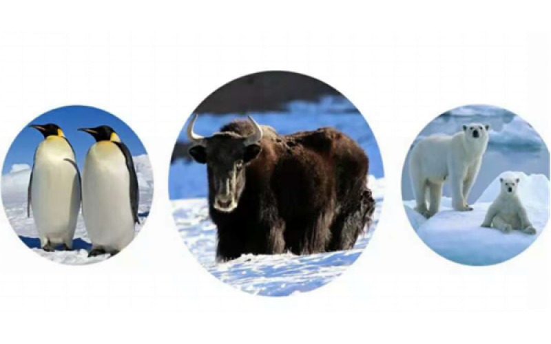 牦?！咴?>
								</div>
															
							<div   id=